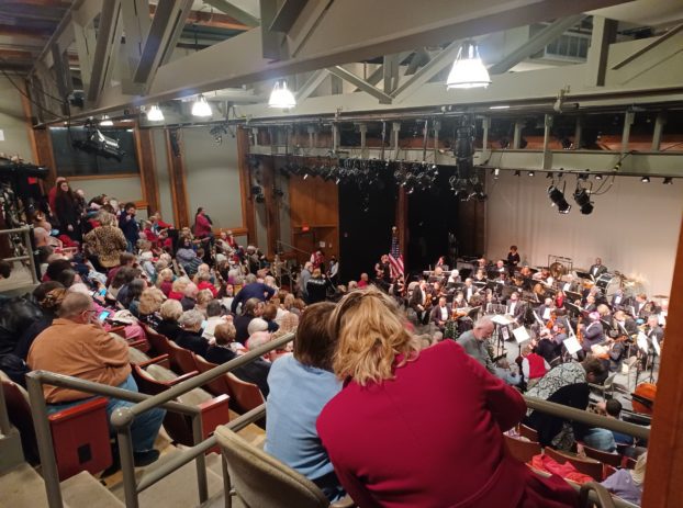 audience at orchestra performance