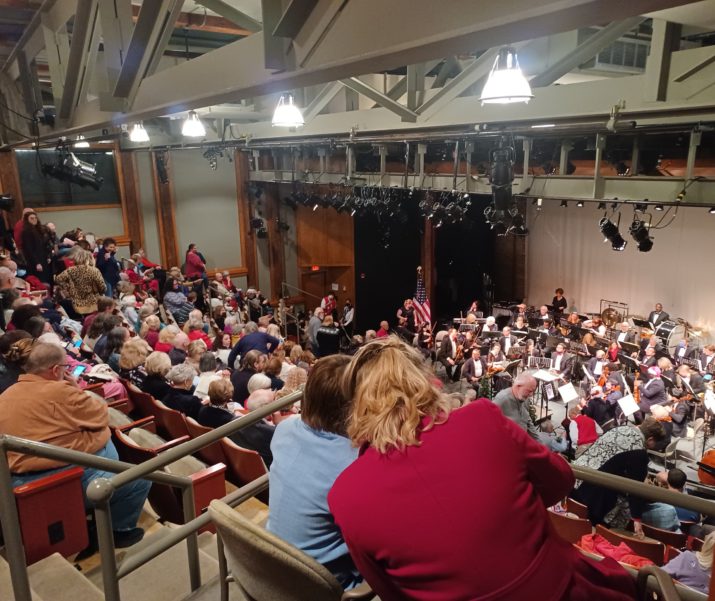 audience at orchestra performance